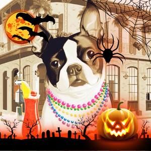 Meet your Posher, Cheryl